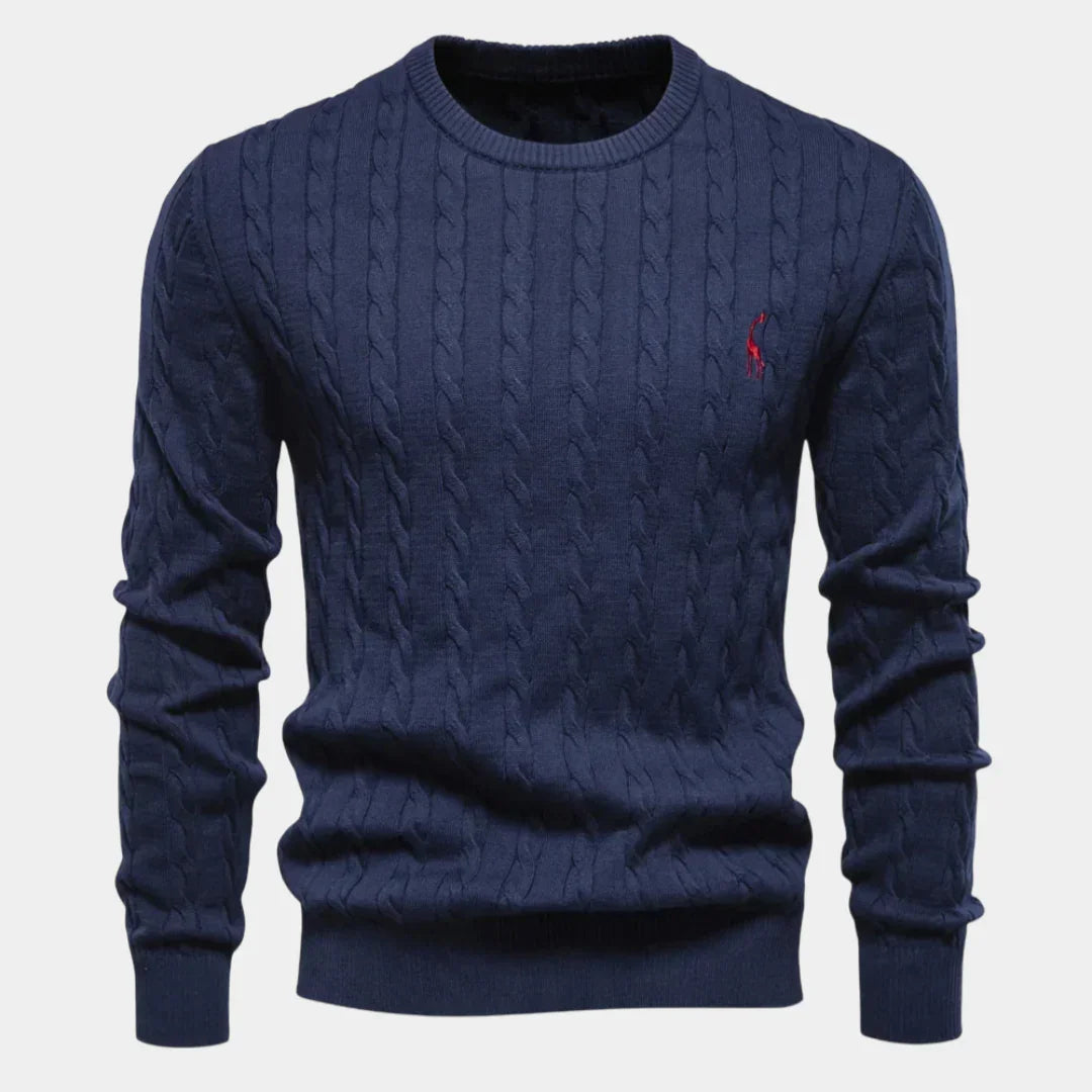 Rogier | Pull Élégant pour Hommes