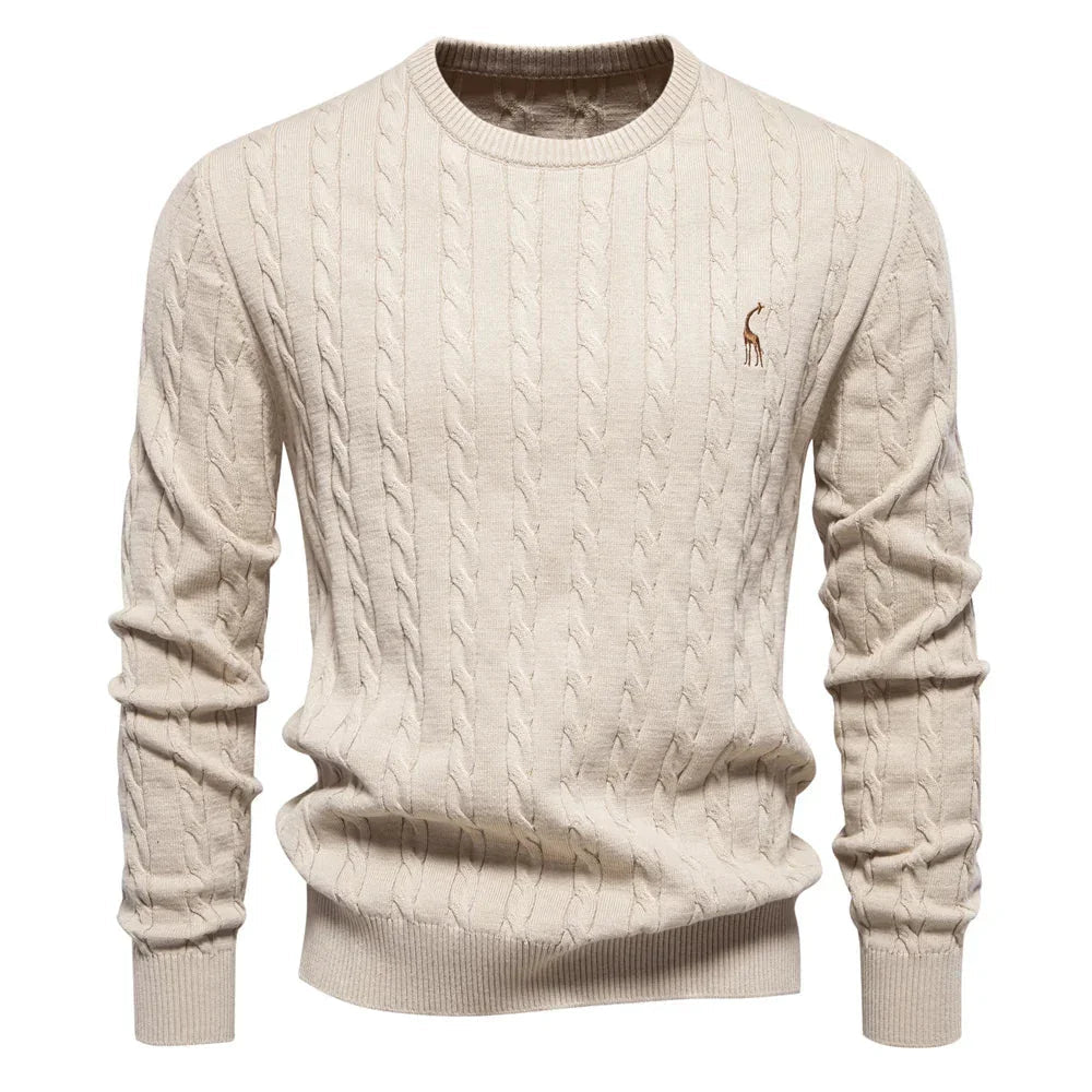 Rogier | Pull Élégant pour Hommes