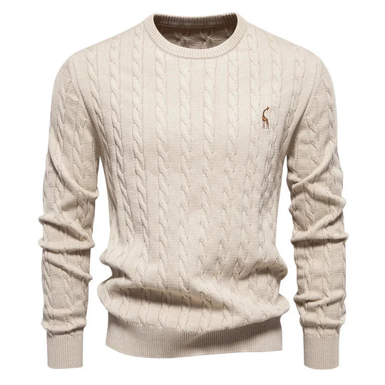 Rogier | Pull Élégant pour Hommes