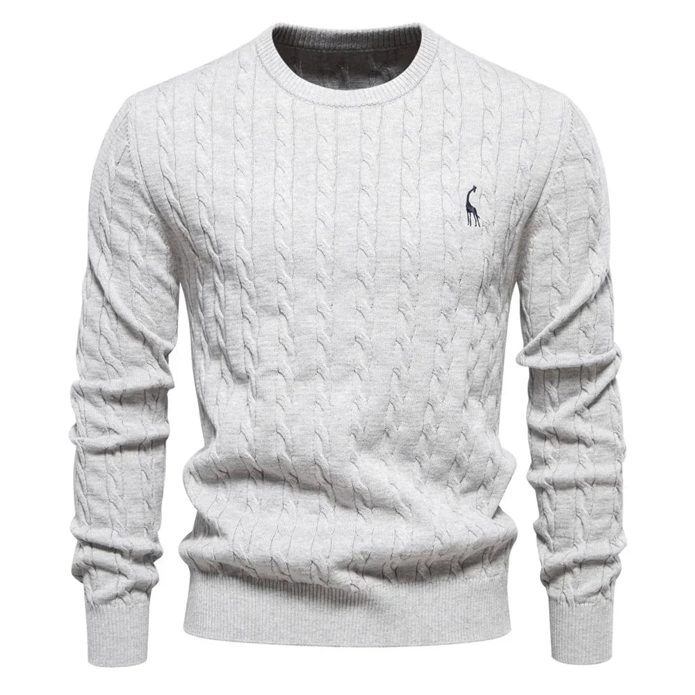 Rogier | Pull Élégant pour Hommes