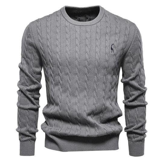 Rogier | Pull Élégant pour Hommes
