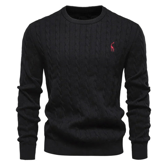 Rogier | Pull Élégant pour Hommes