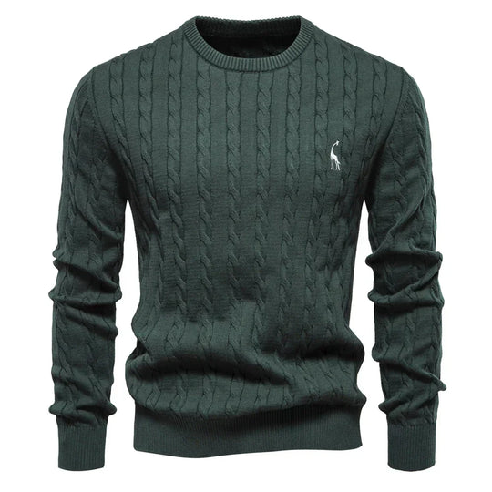 Rogier | Pull Élégant pour Hommes