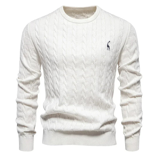 Rogier | Pull Élégant pour Hommes